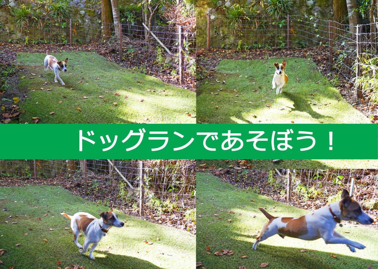 Villa Liberte Hakone Gora Bagian luar foto